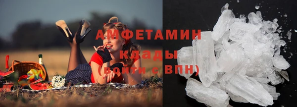 гидра Лагань