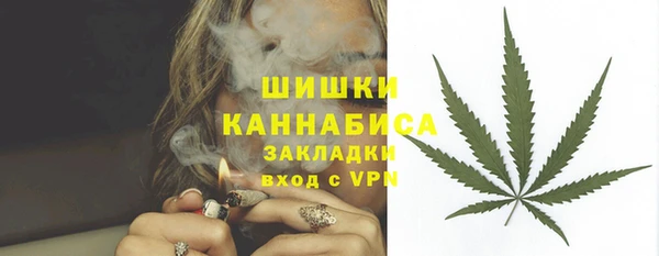 гидра Лагань