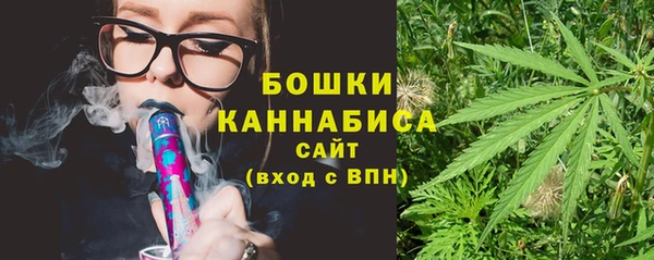 гидра Лагань