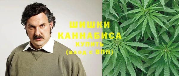 гидра Лагань