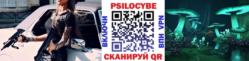 Галлюциногенные грибы Psilocybine cubensis  Купить где  Азнакаево 